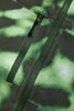 Camp Hero Vest - Dark Green Liquid Print